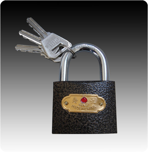 Shouxing Plastic Steel Lock