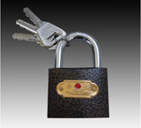 Shouxing Plastic Steel Lock