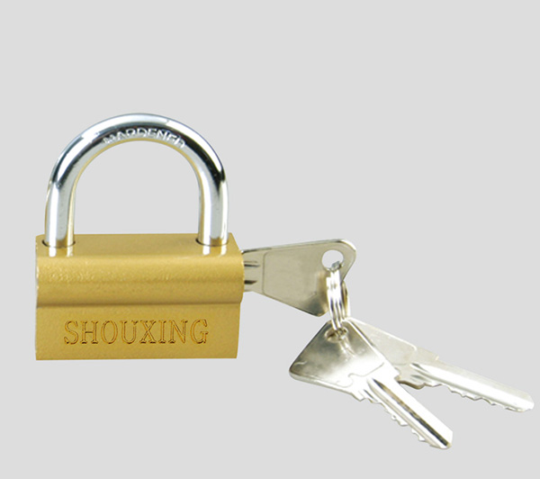 Shouxing Camel copper lock