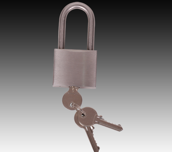 Shouxing Stainless steel lock